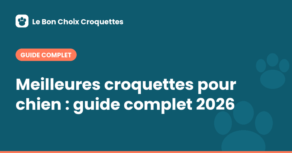 Meilleures croquettes pour chien : guide complet 2026